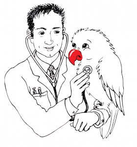 A doctor for my parrot