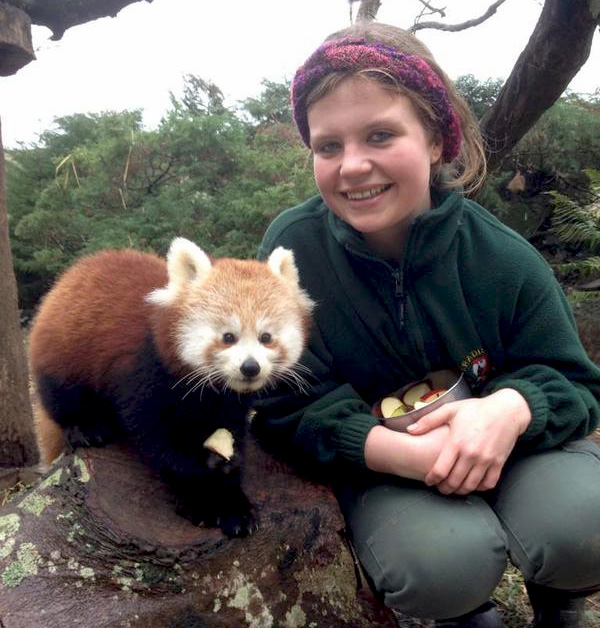 The Red Panda Experience launched Paradise Park