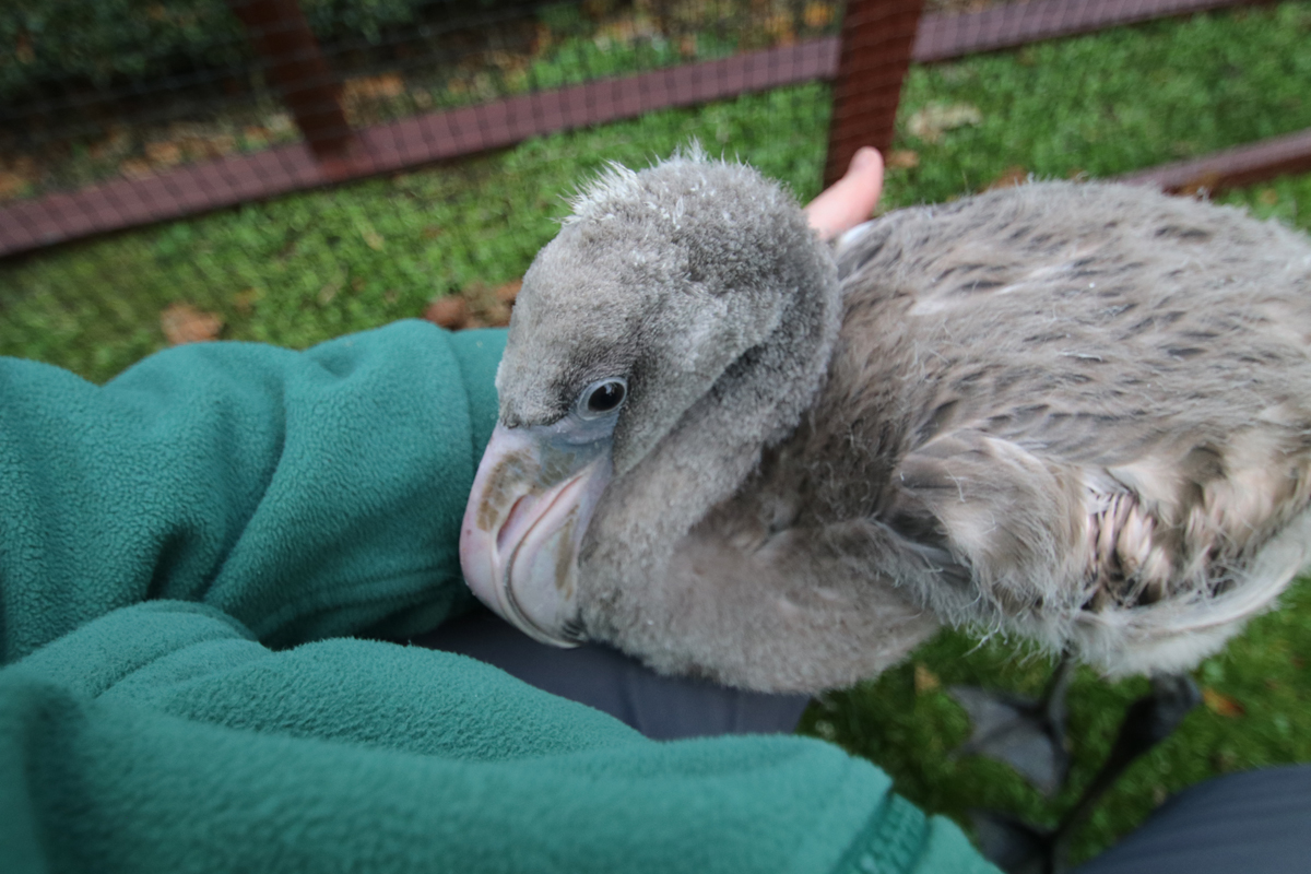 Day-61-Derek-still-likes-to-come-up-clos