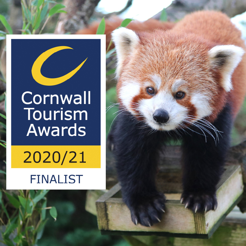 Cornwall Toursim Awards 2020