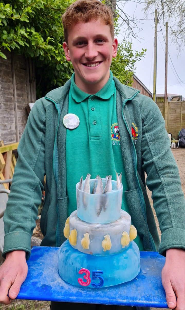 Oldest Humboldt’s Penguin in the UK Paradise Park