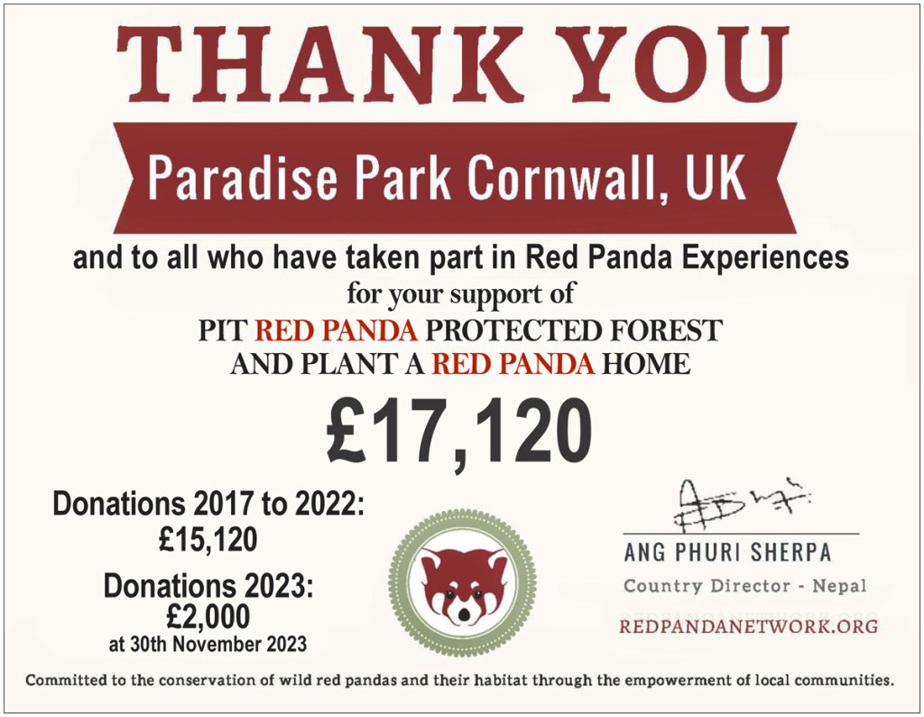 Red Panda Experience Donation Total November 2023
