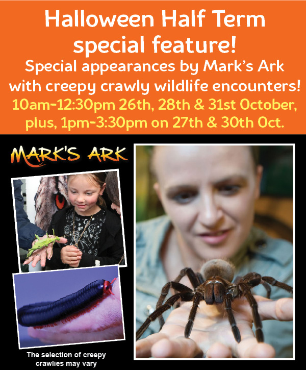 Mark's Ark Promo Image 2025
