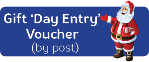 Gift Day Entry Voucher Button