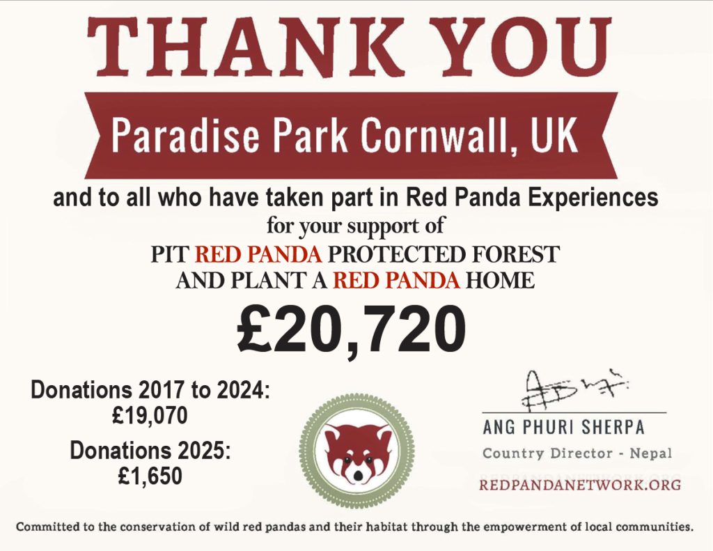 Red Panda Network Certificate September 2025
