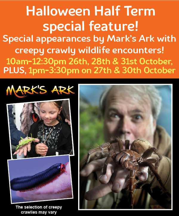 Mark's Ark Image 2025