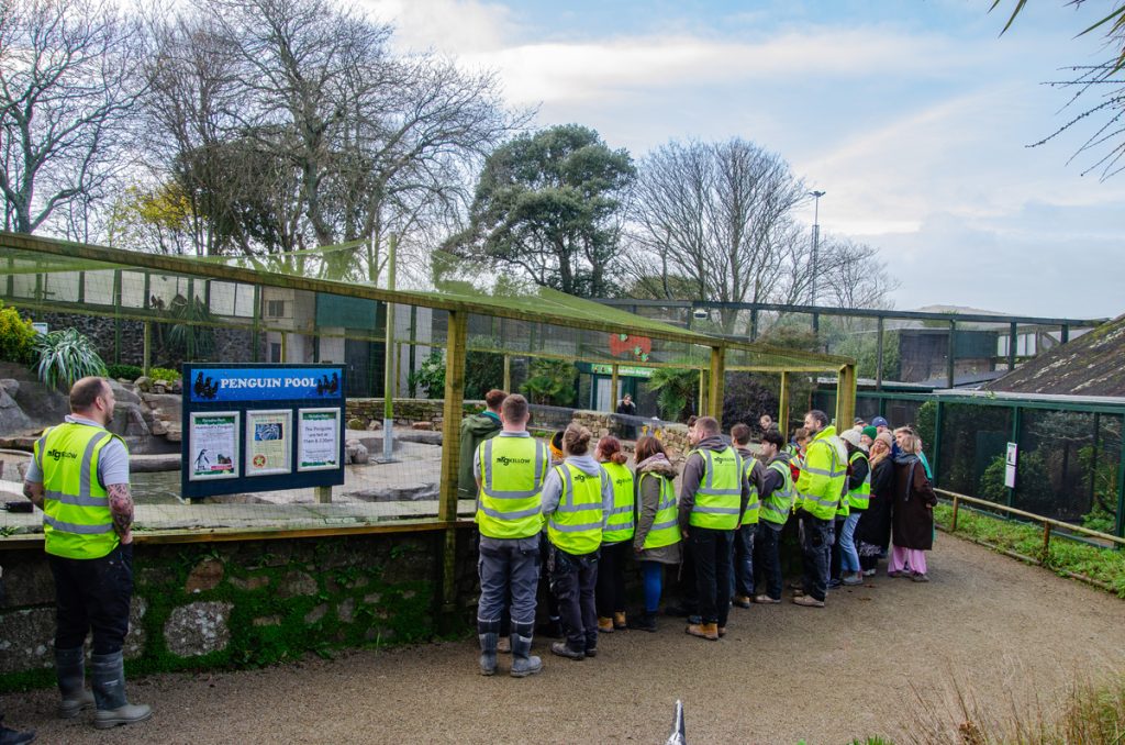 Stop to listen to the Penguin talk and feed time Paradise Park