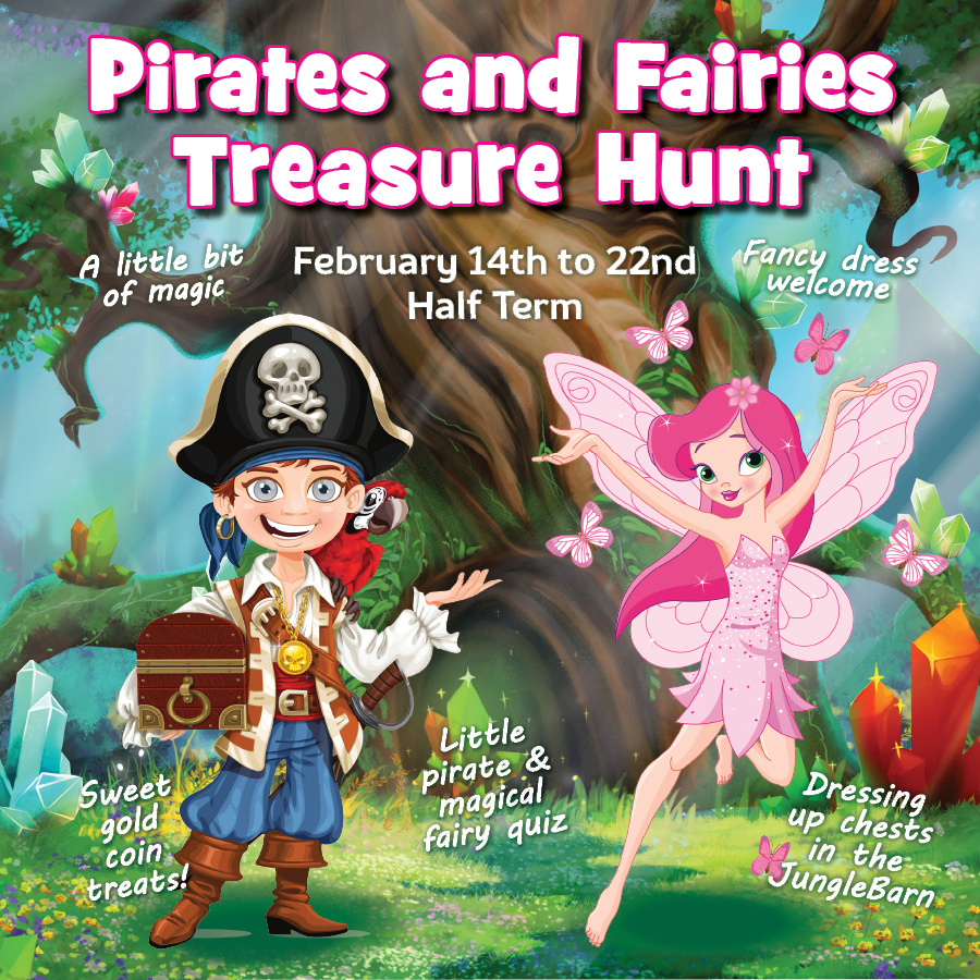 Pirates and Fairies Quiz