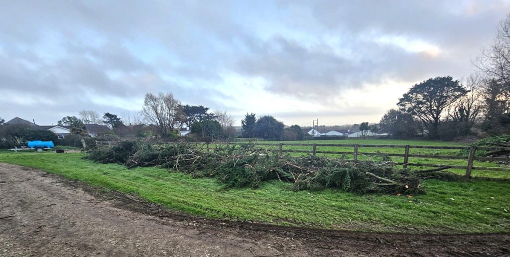 Storm Goretti Damage 10