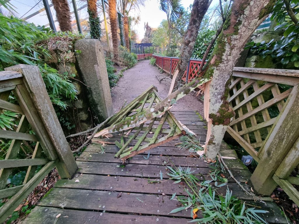 Storm Goretti Damage 12