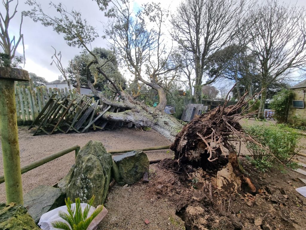 Storm Goretti Damage 8