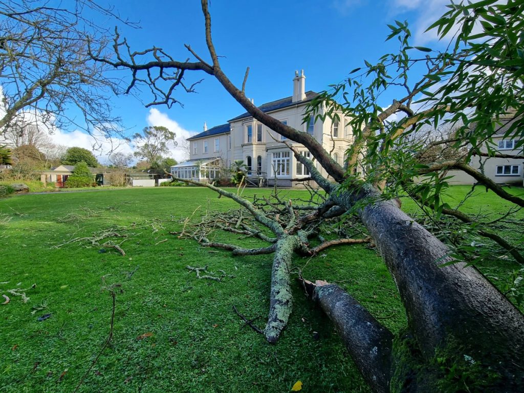 Storm Goretti Damage 3