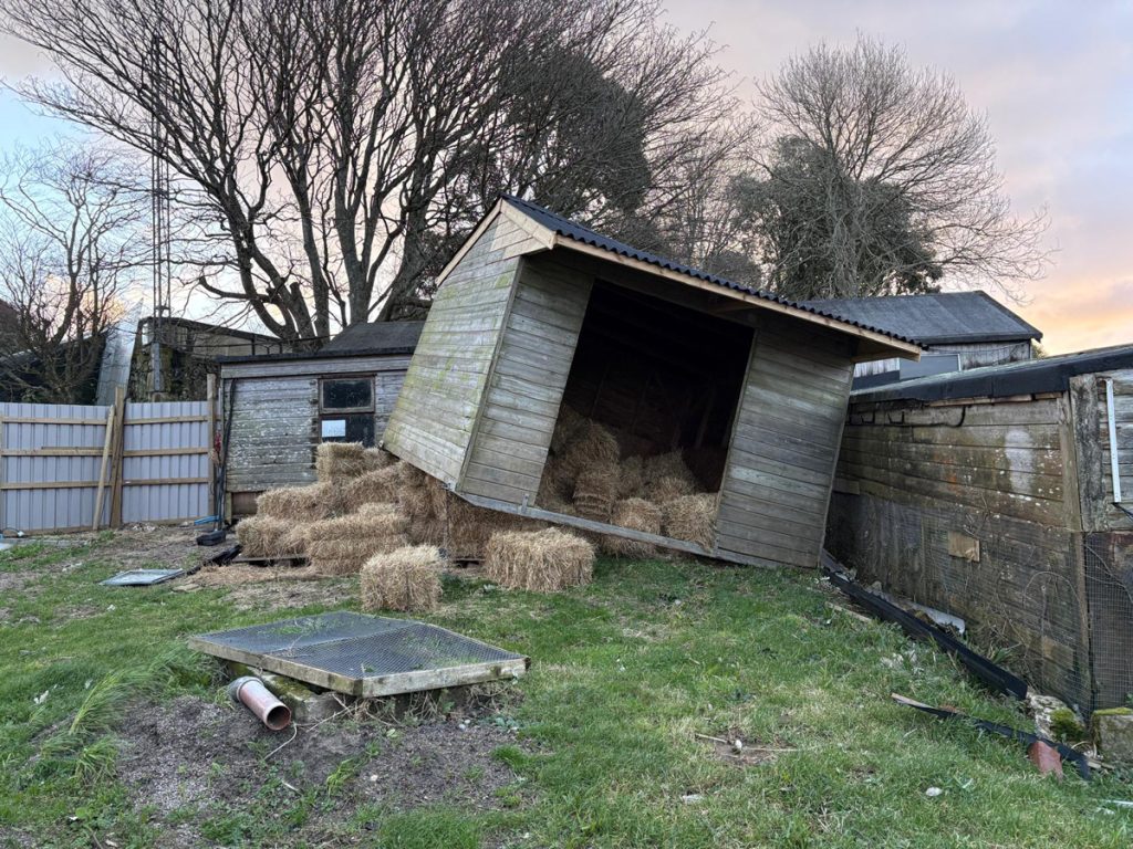 Storm Goretti Damage 4