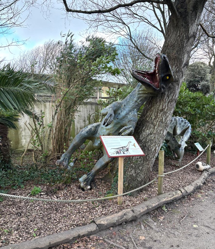 Storm Goretti Damage 8