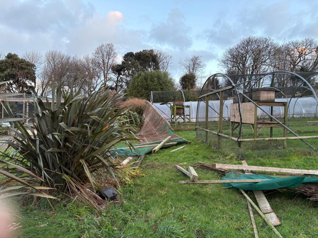 Storm Goretti Damage 7