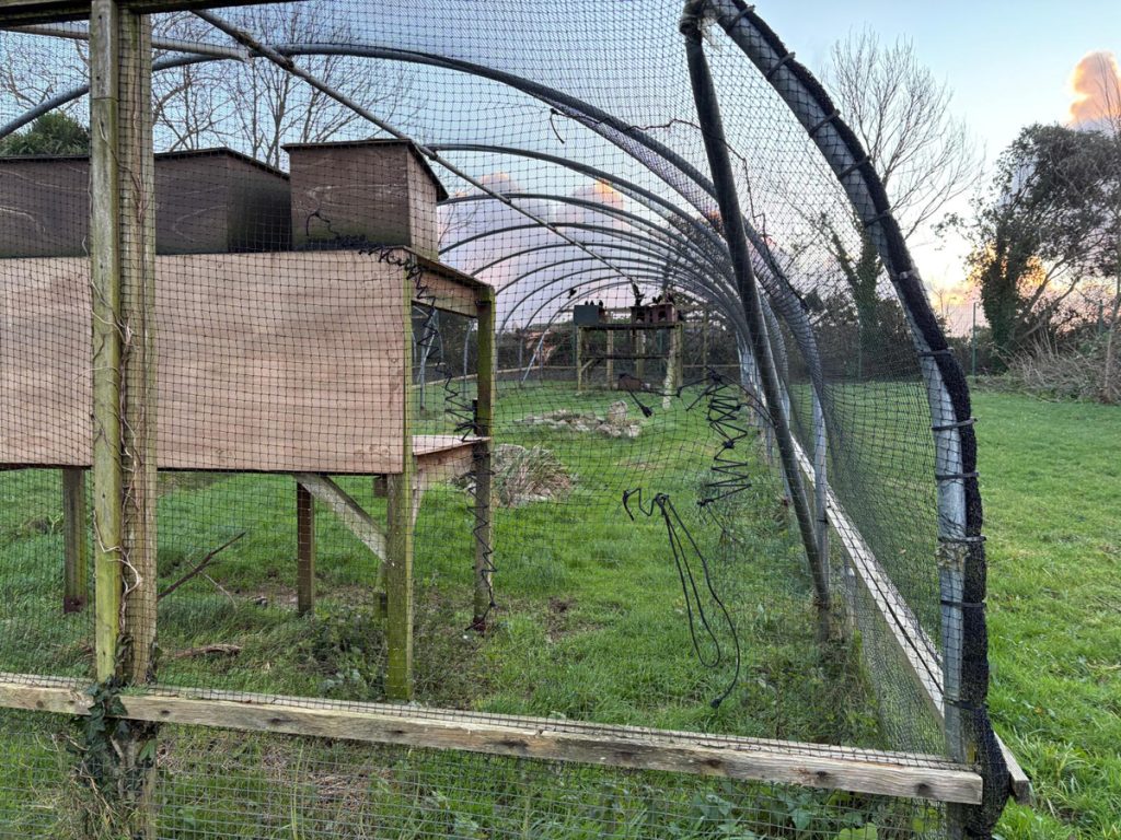 Storm Goretti Damage 8