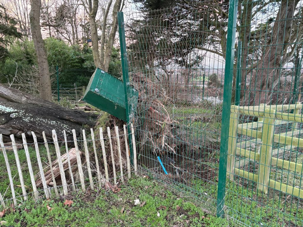 Storm Goretti Damage 9