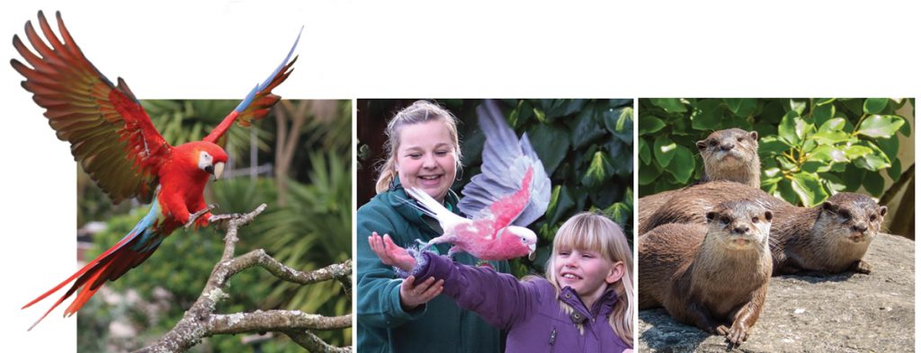 Multi image for Easter 2026 FLAT