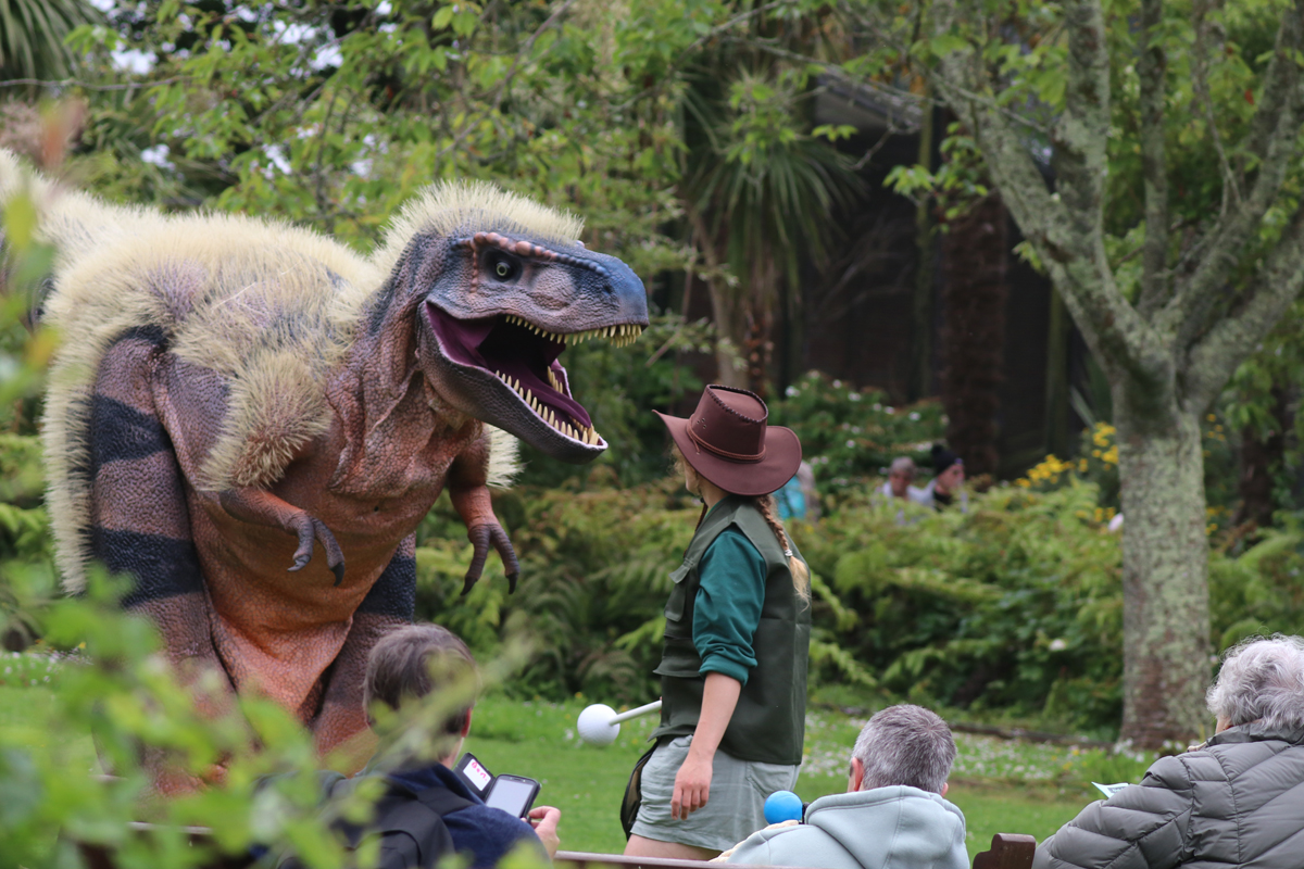 T rex Dinosaur