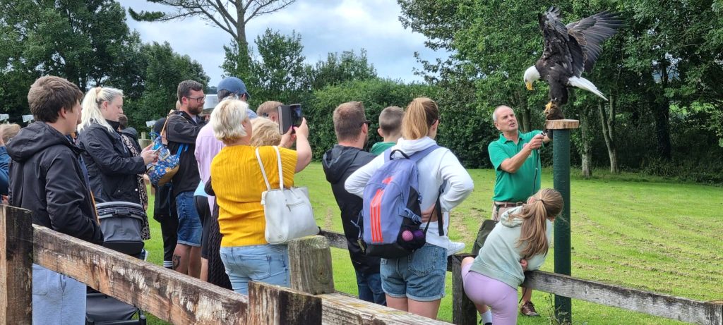 Eagles of Paradise photo opportunity