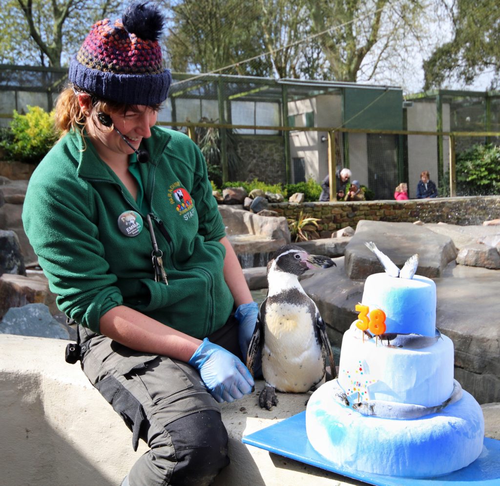 Keeper Emma with Penguin Spneb and her ice birthday cake