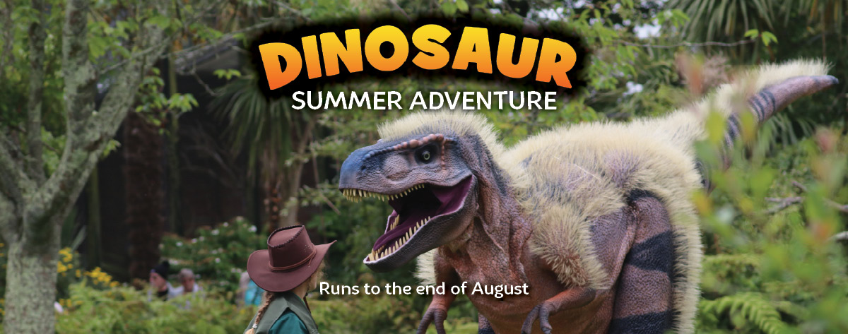 Dinosaur admission page header