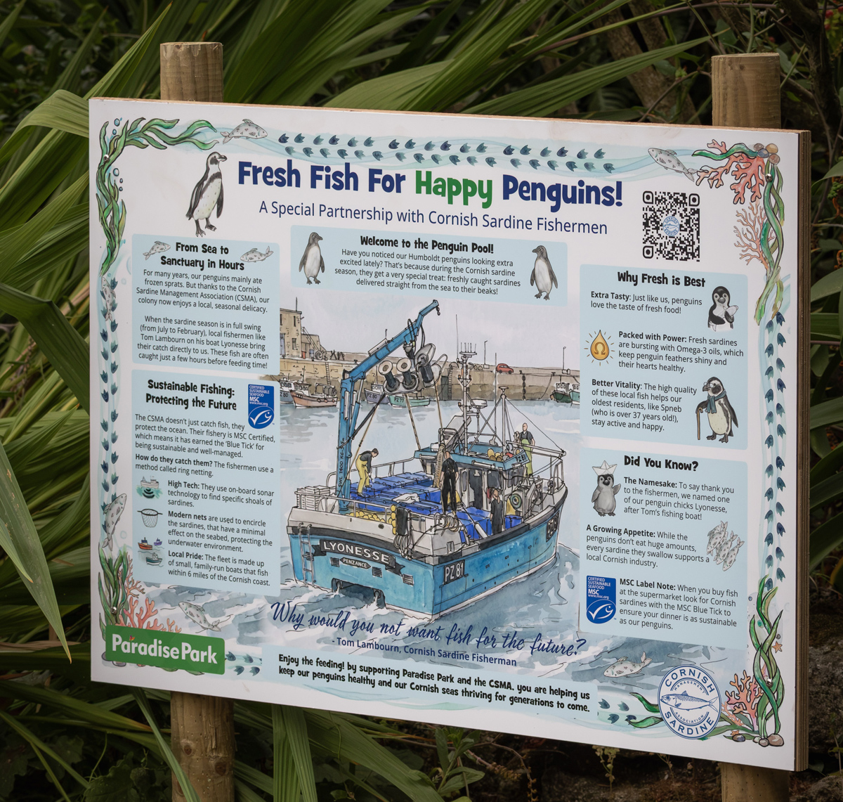 New information board, created by Seafish in partnership with Cornish sardine fishermen