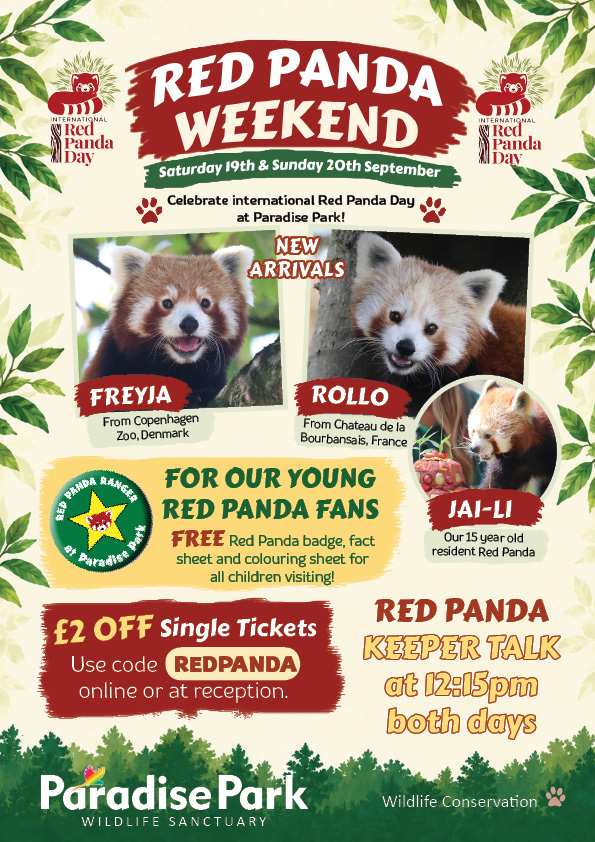 Red Panda Weekend Poster 2026