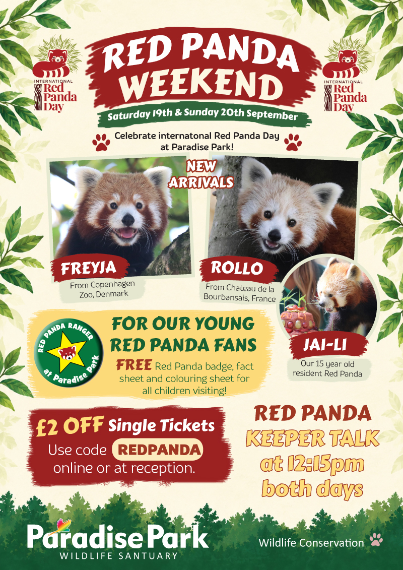 Red Panda Weekend Poster 2026